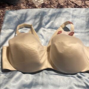 Cacique Cream Everyday Bra with Underwire Support 44DD